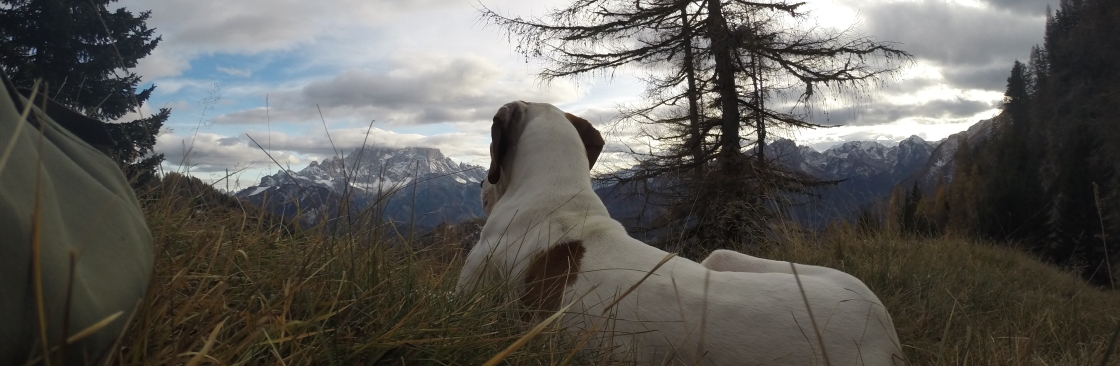 Daniele Zendri Cover Image