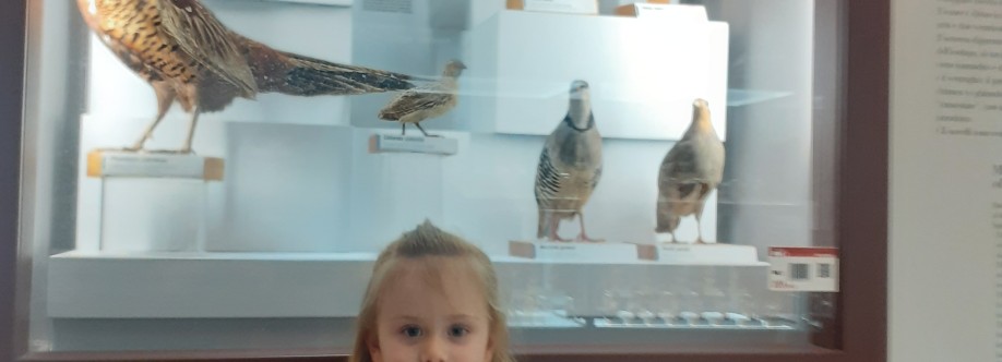 Caccia con cane da ferma Cover Image