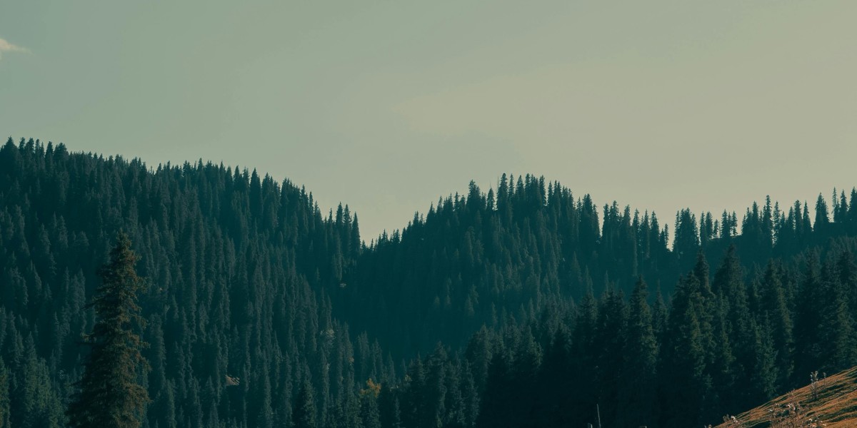 eznpc How to Get a 120 lb Backpack in Fallout 76