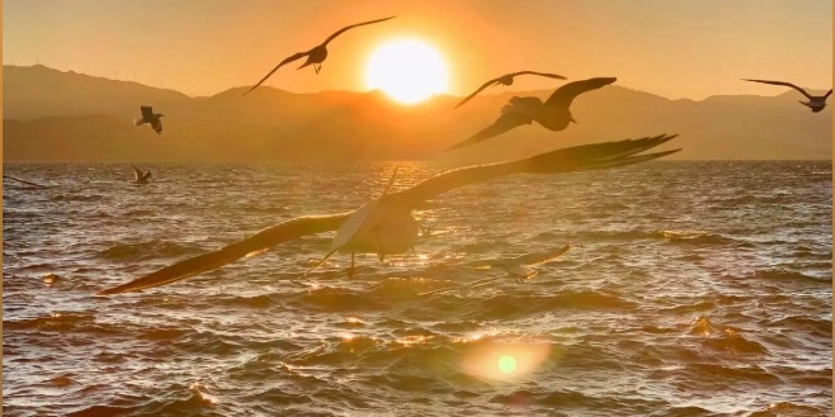 EZNPC Where to Farm Corrosive Stingwings in Fallout 76