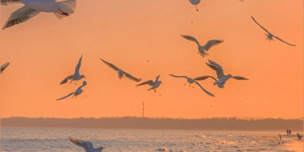 eznpc How to Build a Better Atlas for POE 1 Currency